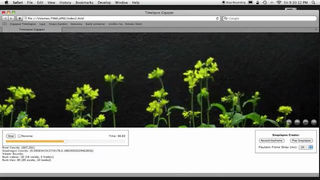 Incredible panoramic, time-lapse views of plants, carnival construction, and Mars